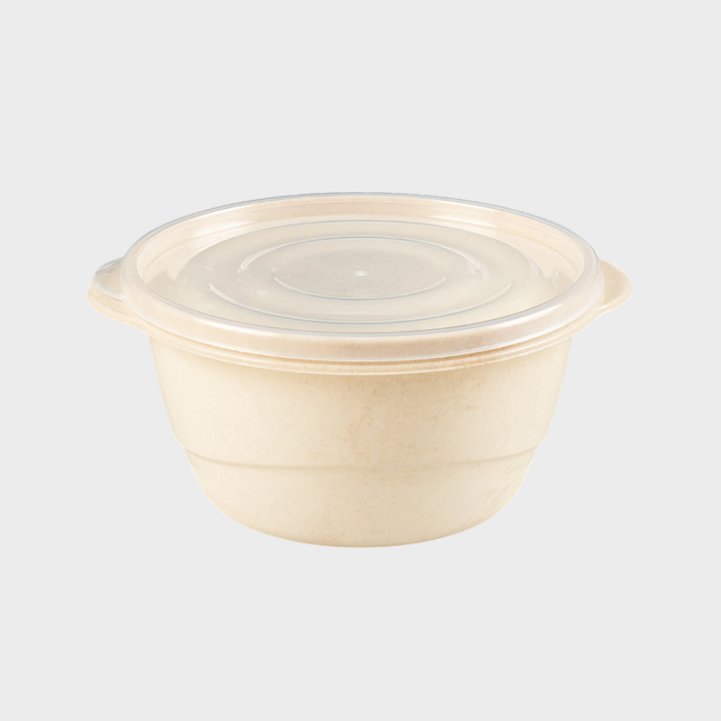 Circum Lidded Plastic Fast Food Box PFB009