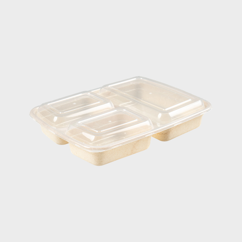 Bento Box PFK004/PFK003