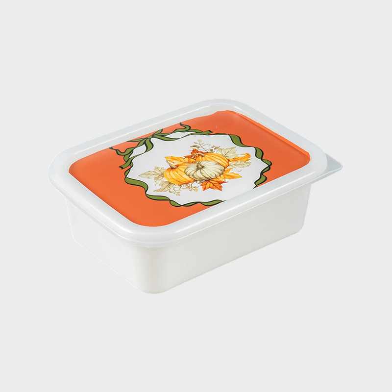 Plastic Repono Box PFB067
